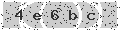 verify code